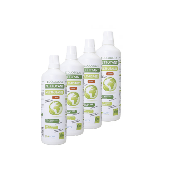 Pack Nettoyant Multi usages Cerises Ecolabel 4X1L