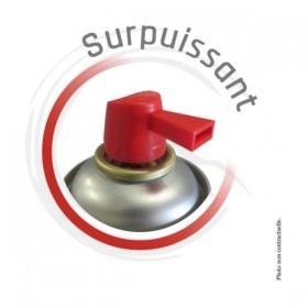 Désodorisant surpuissant Belle Belle Belle 750ml