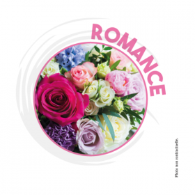 Désodorisant surpuissant 750ml Romance