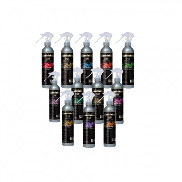 Désodorisant  sensual 250ml plusieurs parfum