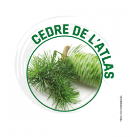Surodorant professionnel Cèdre d'Atlas - Parfum premium 500 ml