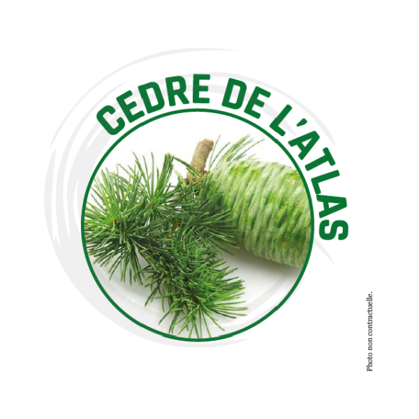 Surodorant professionnel Cèdre d'Atlas - Parfum premium 500 ml